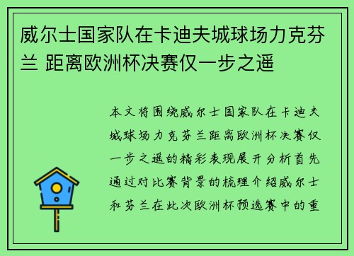 威尔士国家队在卡迪夫城球场力克芬兰 距离欧洲杯决赛仅一步之遥 威尔士国家队在卡迪夫城球场力克芬兰 距离欧洲杯决赛仅一步之遥